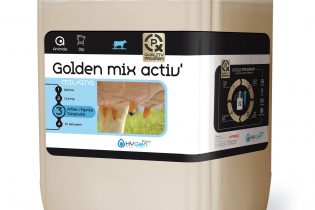 Golden Mix activ'