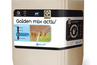 Golden Mix activ'