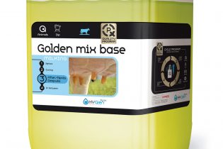 Golden Mix Base