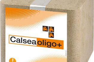 Calseabloc Mineralenlikblok - Calsea Oligo+