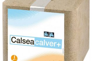 Calseabloc Mineralenlikblok - Calsea Calver+