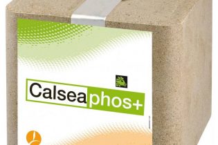 Calseabloc Mineralenlikblok - Calsea Phos+